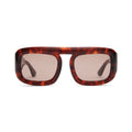 Aries in Red Tortoise