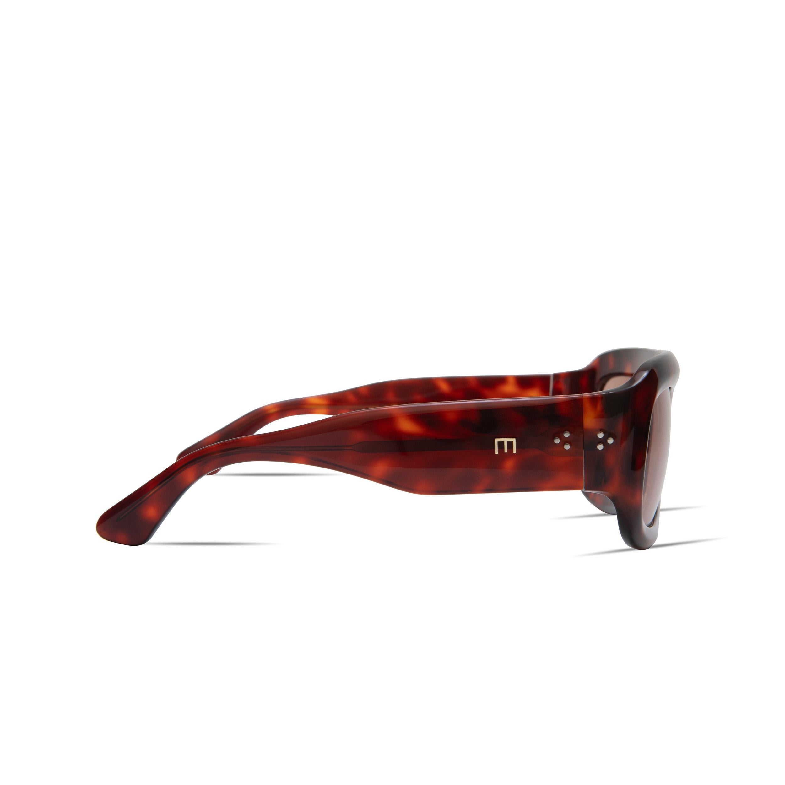 Aries in Red Tortoise